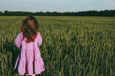 Little girl walking in a green field of wheat