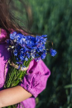 Bouquet of cornflowers in hands