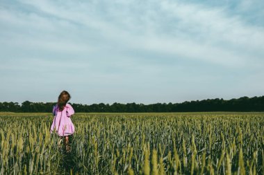 Little girl walking in a green field of wheat