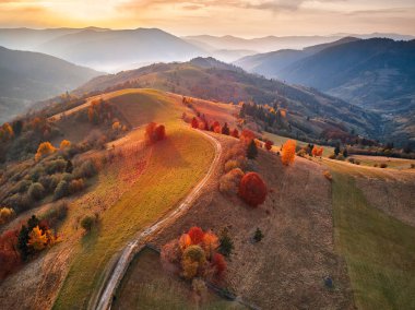 Güzel dağ çayır ve renkli orman ile sonbahar manzarası. Kırmızı, sarı, portakal ağaçları tepelerde üzerinde. Ulusal Tabiat Parkı Synevyr, Karpatlar, Ukrayna, Europe.