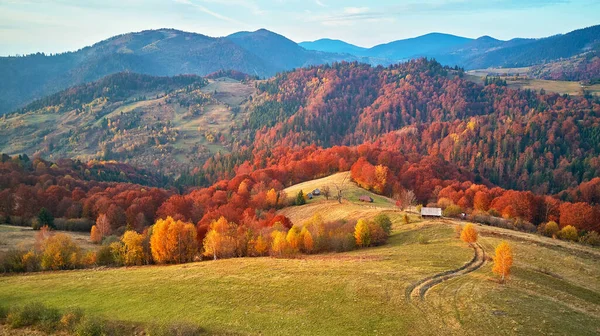 Krásná Horská Podzimní Panoramatická Krajina Loukou Barevným Lesem Červené Žluté — Stock fotografie