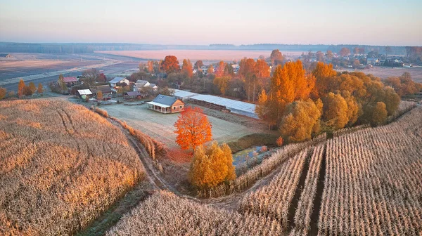 Kır Evi Autumn Village Gölet Havadan Kırsal Alan Çimlerin Üzerindeki — Stok fotoğraf