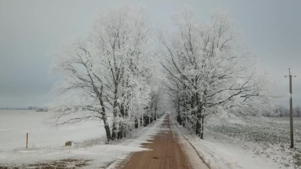 Eichenallee Frost Winter Ländlicher Feldweg Bedeckter Dramatisch Bewölkter Himmel Schneebedeckte — Stockvideo