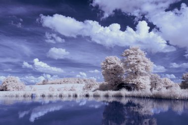Kızılötesi fotoğrafçılık - bulutlu gökyüzü altındaki ağaçlarla gerçek üstü bir manzara fotoğrafı - dünyamızın sanatı ve görünmez kızılötesi kamera spektrumundaki bitkiler
