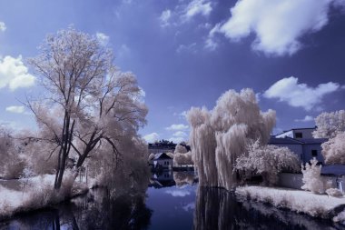 Kızılötesi fotoğrafçılık - bulutlu gökyüzü altındaki ağaçlarla gerçek üstü bir manzara fotoğrafı - dünyamızın sanatı ve görünmez kızılötesi kamera spektrumundaki bitkiler