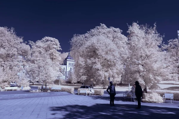 Infrared Photography Surreal Photo Landscape Trees Cloudy Sky Art Our Royalty Free Stock Images