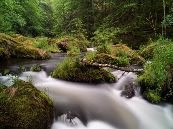 Moto Liscio Acqua Selvatica Fiume Estate Con Rocce Pietre Nella — Foto Stock