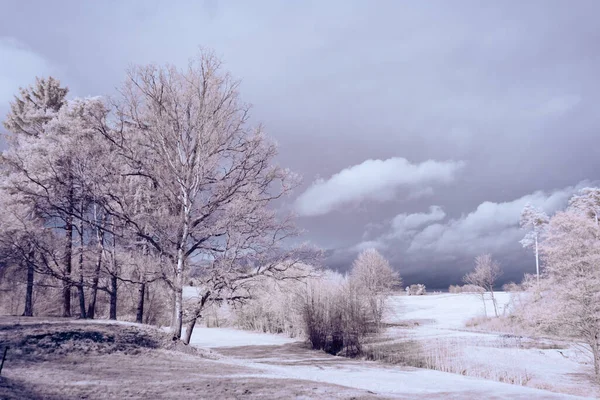 Infrared Photography Surreal Photo Landscape Trees Cloudy Sky Art Our — Stock Photo, Image