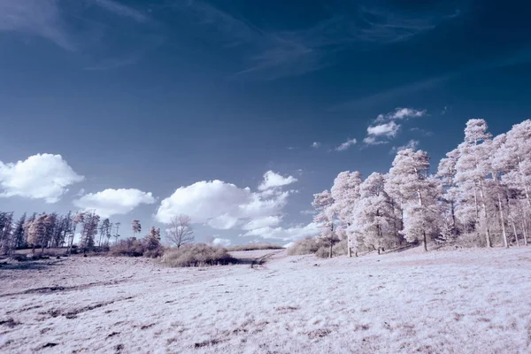 Fotografía Infrarroja Foto Surrealista Del Paisaje Con Árboles Bajo Cielo — Foto de Stock