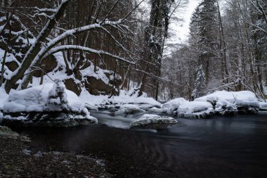 Kışın nehirde kayaların ve kayaların üzerinde buz ve kayaların üzerinde ormanın güzel doğasında vahşi suyun yumuşak bir hareketi.