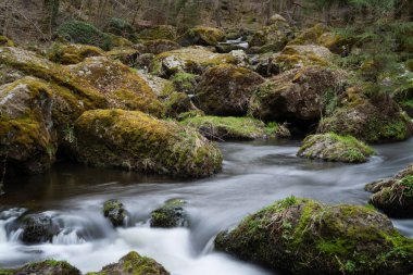 Yazın bir nehirde kayalar ve taşlarla birlikte ormanın güzel doğasında yumuşak bir vahşi su hareketi.