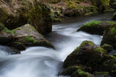 Yazın bir nehirde kayalar ve taşlarla birlikte ormanın güzel doğasında yumuşak bir vahşi su hareketi.
