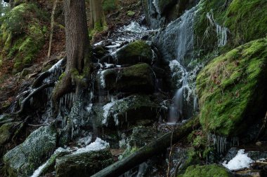 Kışın nehirde kayaların ve kayaların üzerinde buz ve kayaların üzerinde ormanın güzel doğasında vahşi suyun yumuşak bir hareketi.