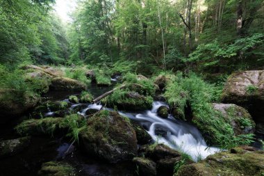 Yazın bir nehirde kayalar ve taşlarla birlikte ormanın güzel doğasında yumuşak bir vahşi su hareketi.