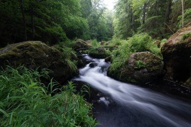 Yazın bir nehirde kayalar ve taşlarla birlikte ormanın güzel doğasında yumuşak bir vahşi su hareketi.
