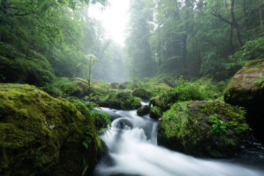 Yazın bir nehirde kayalar ve taşlarla birlikte ormanın güzel doğasında yumuşak bir vahşi su hareketi.