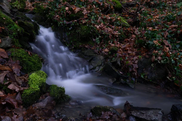 Smooth Motion Wild Water River Summer Rocks Stones Beautiful Nature — Stock Photo, Image