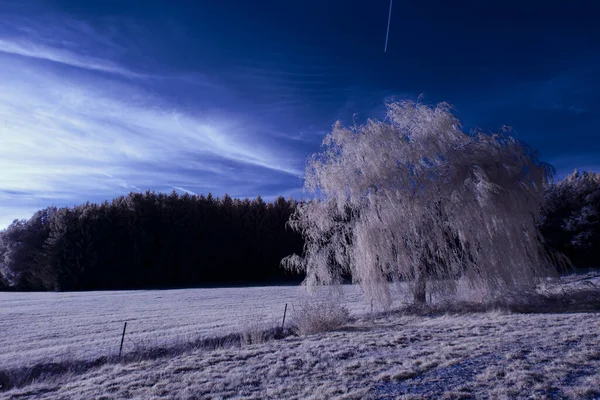 Інфрачервона Фотографія Сюрреалістична Фотографія Пейзажу Деревами Під Хмарним Небом Мистецтво — стокове фото