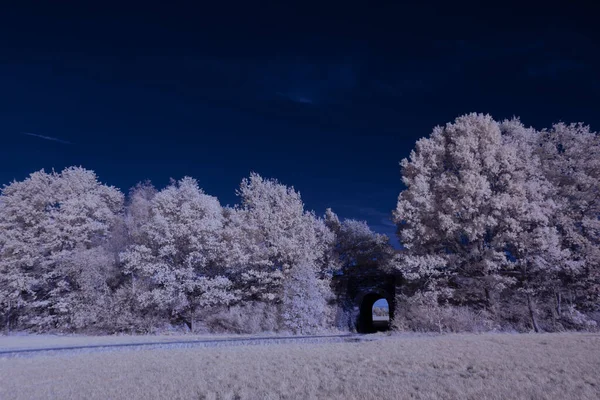 Fotografia Infravermelha Foto Surreal Paisagem Com Árvores Sob Céu Nublado — Fotografia de Stock