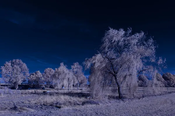 Fotografia Infravermelha Foto Surreal Paisagem Com Árvores Sob Céu Nublado — Fotografia de Stock