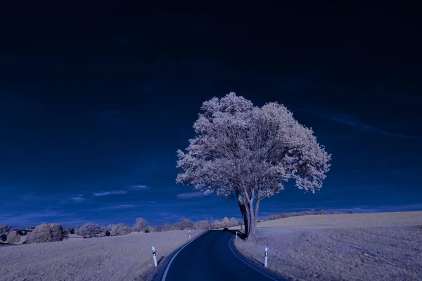 Fotografia Podczerwona Surrealistyczne Zdjęcie Krajobrazu Drzewami Pod Zachmurzonym Niebem Sztuka — Zdjęcie stockowe