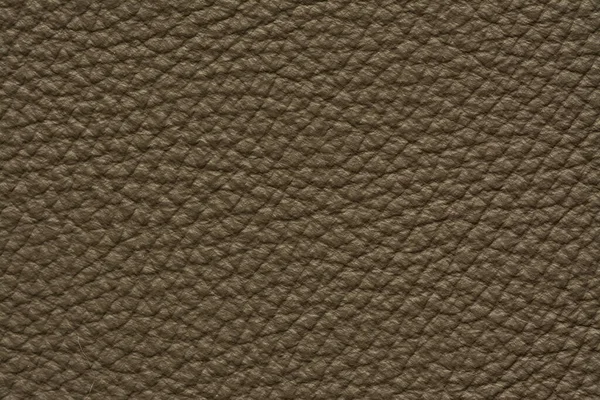 Skóra Tekstury Wzór Tło Wysokiej Jakości Tapety — Zdjęcie stockowe