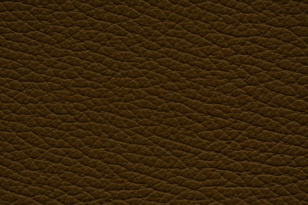 Textura Couro Padrão Fundo Papel Parede Alta Qualidade — Fotografia de Stock