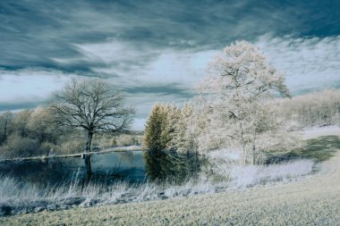 Kızılötesi fotoğrafçılık - bulutlu gökyüzü altındaki ağaçlarla gerçek üstü bir manzara fotoğrafı - dünyamızın sanatı ve görünmez kızılötesi kamera spektrumundaki bitkiler