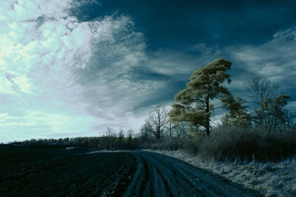 Інфрачервона Фотографія Сюрреалістична Фотографія Пейзажу Деревами Під Хмарним Небом Мистецтво — стокове фото