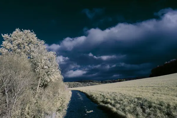 Fotografia Infravermelha Foto Surreal Paisagem Com Árvores Sob Céu Nublado — Fotografia de Stock