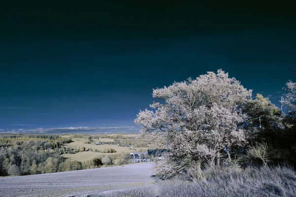 Fotografia Infravermelha Foto Surreal Paisagem Com Árvores Sob Céu Nublado — Fotografia de Stock