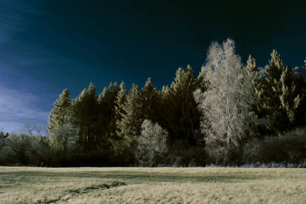 Kızılötesi Fotoğrafçılık Bulutlu Gökyüzü Altındaki Ağaçlarla Gerçek Üstü Bir Manzara — Stok fotoğraf