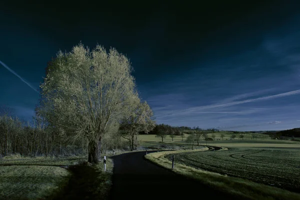 Kızılötesi Fotoğrafçılık Bulutlu Gökyüzü Altındaki Ağaçlarla Gerçek Üstü Bir Manzara — Stok fotoğraf
