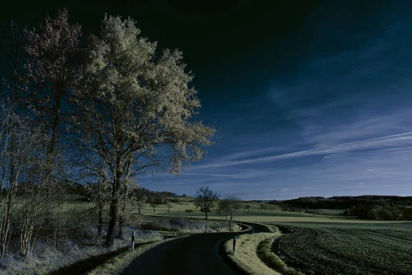 적외선 구름낀 나무들이 풍경을 초현실적 보이지 적외선 카메라 스펙트럼 가운데서 — 스톡 사진