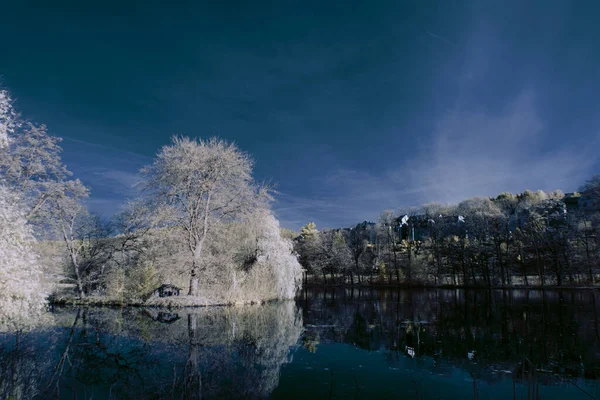 Infrared Photography Surreal Photo Landscape Trees Cloudy Sky Art Our — Stock Photo, Image