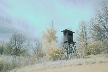 Kızılötesi fotoğrafçılık - gökyüzü altındaki bulutlu manzaranın fotoğrafı - dünyamızın kızılötesi spektrumdaki sanatı