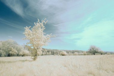 Kızılötesi fotoğrafçılık - gökyüzü altındaki bulutlu manzaranın fotoğrafı - dünyamızın kızılötesi spektrumdaki sanatı