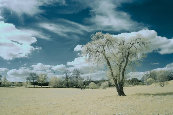Kızılötesi fotoğrafçılık - gökyüzü altındaki bulutlu manzaranın fotoğrafı - dünyamızın kızılötesi spektrumdaki sanatı