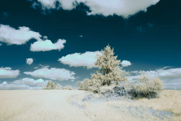 Fotografia Infravermelha Foto Paisagem Sob Céu Com Nuvens Arte Nosso — Fotografia de Stock