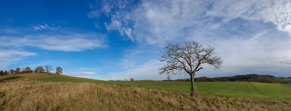 Malebný Panorama Pohled Přírodní Krajinu Pod Zataženou Oblohou — Stock fotografie