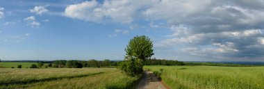 bulutlu bir gökyüzünün altındaki doğal manzara manzarası