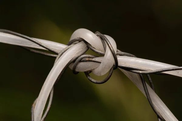 Gammal Tråd Naturen — Stockfoto