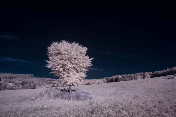 Infrared Photography Photo Landscape Sky Clouds Art Our World Infrared —  Fotos de Stock