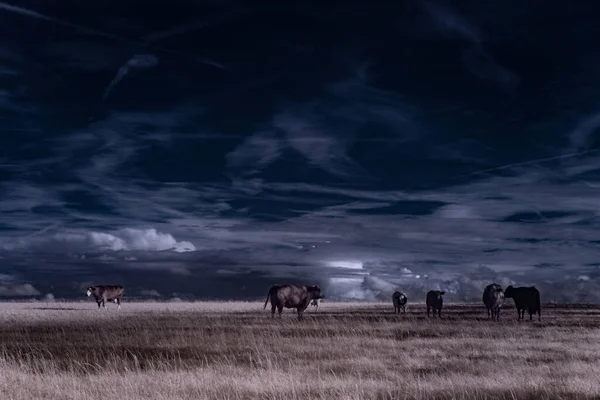 Fotografia Infravermelha Foto Paisagem Sob Céu Com Nuvens Arte Nosso — Fotografia de Stock