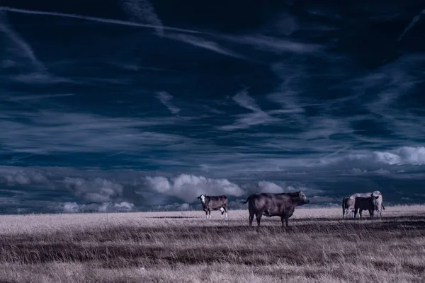 Fotografía Infrarroja Foto Del Paisaje Bajo Cielo Con Nubes Arte — Foto de Stock