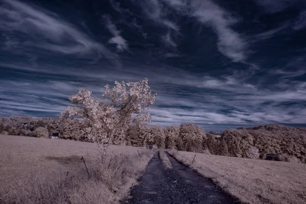 Інфрачервона Фотографія Фото Пейзажу Під Небом Хмарами Мистецтво Нашого Світу — стокове фото