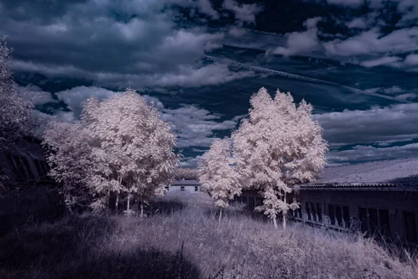 infrared photography - ir photo of landscape under sky with clouds - the art of our world in the infrared spectrum