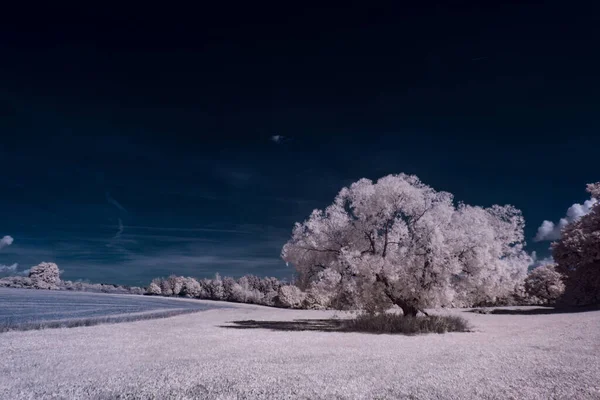 Fotografia Infravermelha Foto Paisagem Sob Céu Com Nuvens Arte Nosso — Fotografia de Stock