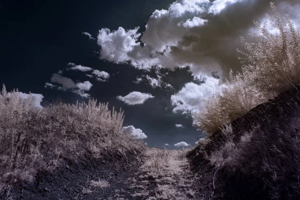 infrared photography - ir photo of landscape under sky with clouds - the art of our world in the infrared spectrum