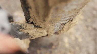 Meyve bahçesinde ağaç kabuklarını toplayan kişi